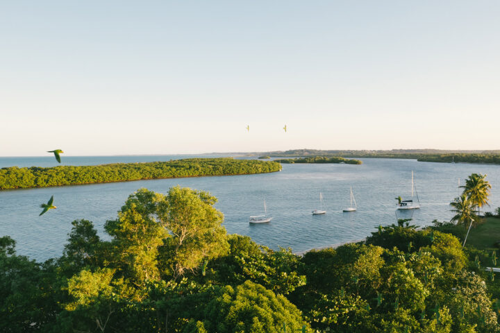 Alameda do Araripe - Lotes pé na areia Bahia - Santo André